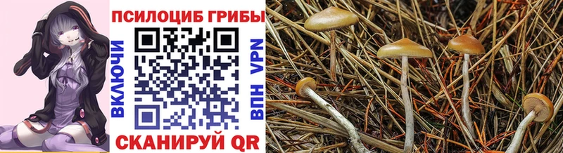 даркнет сайт Красноярск Галлюциногенные грибы GOLDEN TEACHER