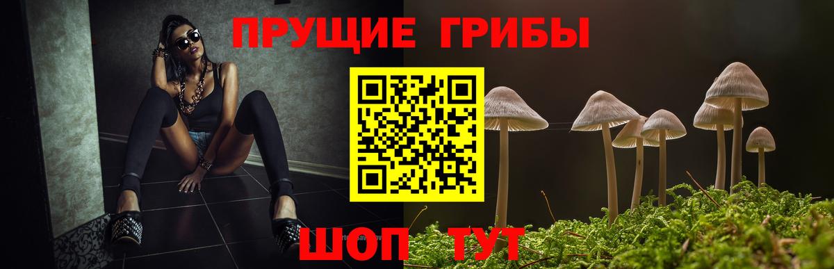 Псилоцибиновые грибы Psilocybe  Псилоцибиновые грибы GOLDEN TEACHER  Красноярск  где продают наркотики  Вход с VPN 
